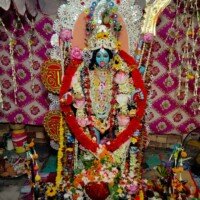 বাড়িতে কালী মা ভক্তি করার উপায়: সহজ নিয়ম ও দৈনিক পূজা বিধি